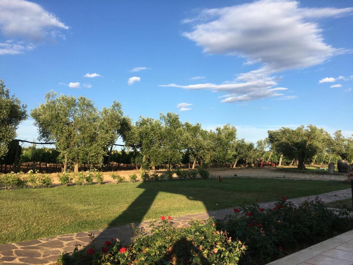 Villa Olga Таркиния Екстериор снимка