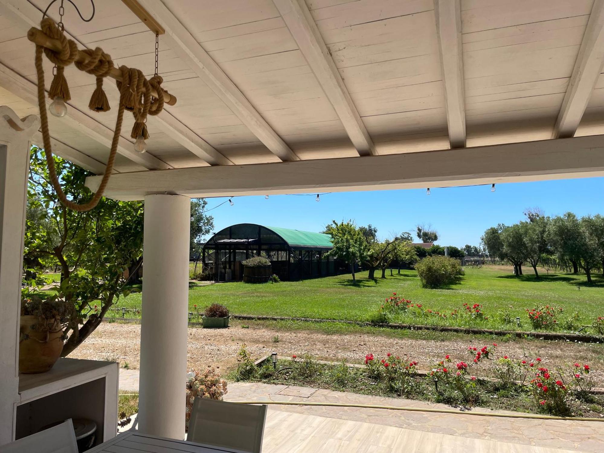 Villa Olga Таркиния Екстериор снимка